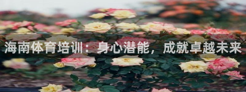 富联娱乐登录注册入口官网网址是什么：海南体育培训：身
