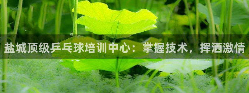 富联官网注册流程图片：盐城顶级乒乓球培训中心：掌握技