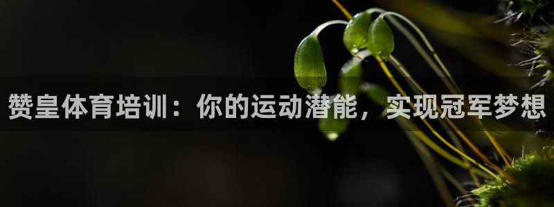 富联官网注册不了账号：赞皇体育培训：你的运动潜能，实