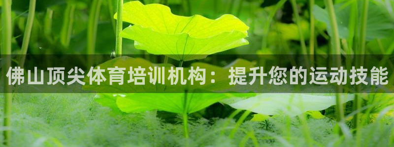 富联平台总代理电话：佛山顶尖体育培训机构：提升您的运