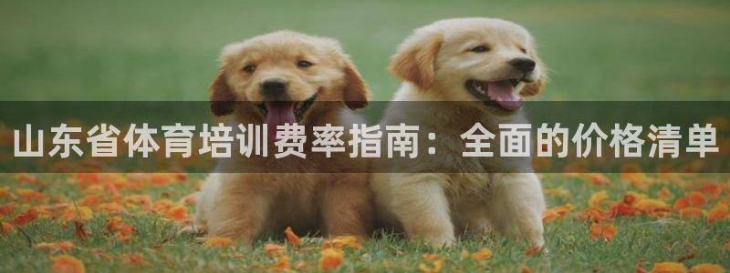 富联娱乐平台开户条件要求：山东省体育培训费率指南：全面的价格