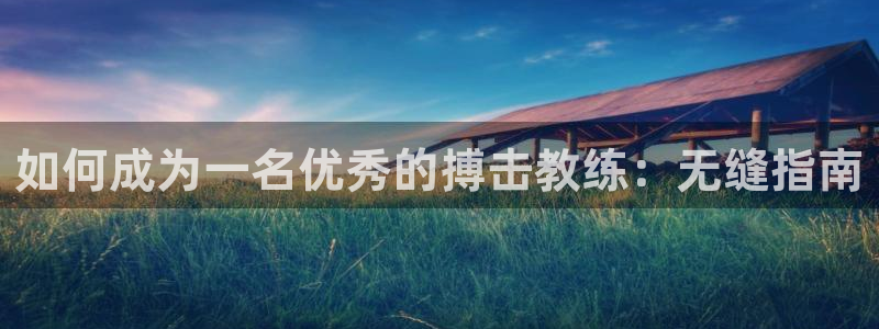 富联平台登录：如何成为一名优秀的搏击教练：无缝指南