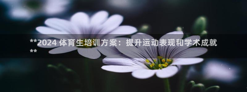 富联平台地址查询：**2024 体育生培训方案：提升