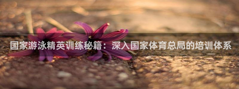 中国富联股票行情： 国家游泳精英训练秘籍：深入国家体