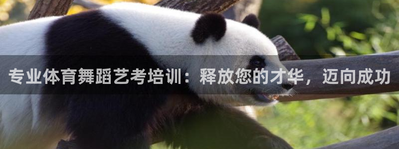 富联官方网站首页入口网址：专业体育舞蹈艺考培训：释放