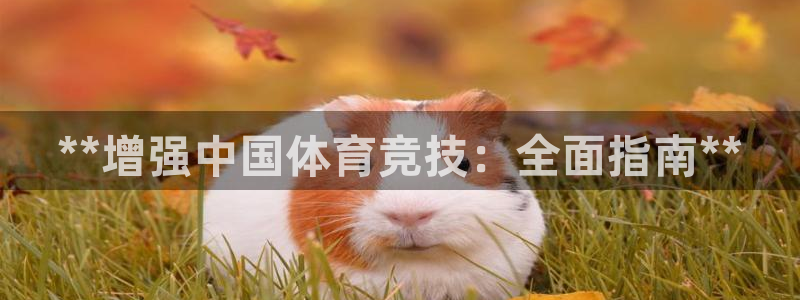 富联娱乐爱7O777：**增强中国体育竞技：全面指南