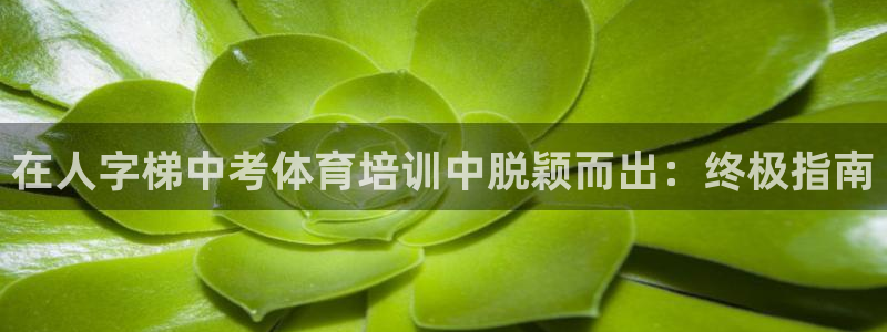 富联申购是什么股票板块：在人字梯中考体育培训中脱颖而