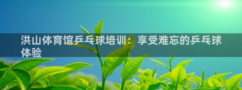 富联娱乐平台是什么：洪山体育馆乒乓球培训：享受难忘的