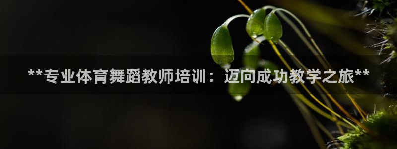 富联平台代理注册流程：**专业体育舞蹈教师培训：迈向