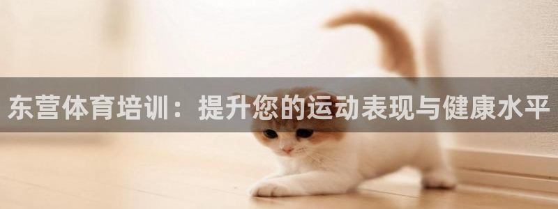富联娱乐登录注册流程：东营体育培训：提升您的运动表现