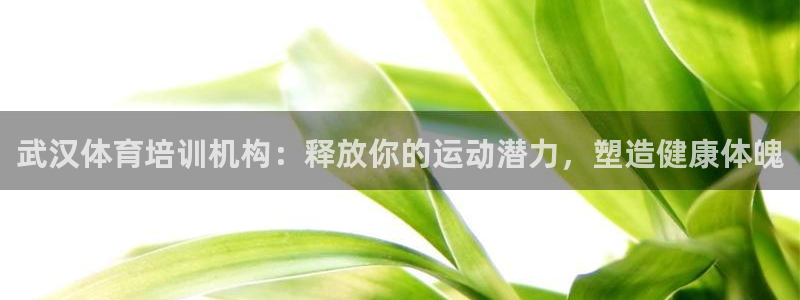 富联公寓：武汉体育培训机构：释放你的运动潜力，塑造健