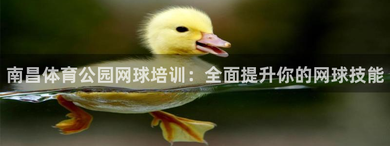富联平台登录注册账号：南昌体育公园网球培训：全面提升