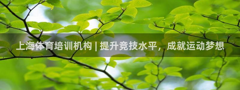 富联展示中心：上海体育培训机构 | 提升竞技水平，成