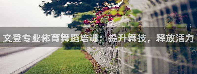 富联官方网站：文登专业体育舞蹈培训：提升舞技，释放活