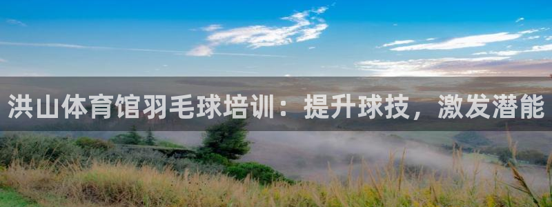富联娱乐负责人：洪山体育馆羽毛球培训：提升球技，激发潜能