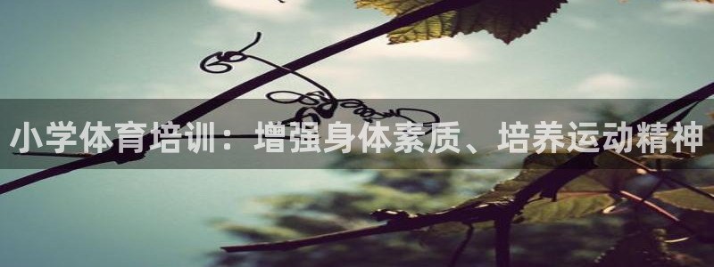 富联娱乐登录注册入口官网网址：小学体育培训：增强身体