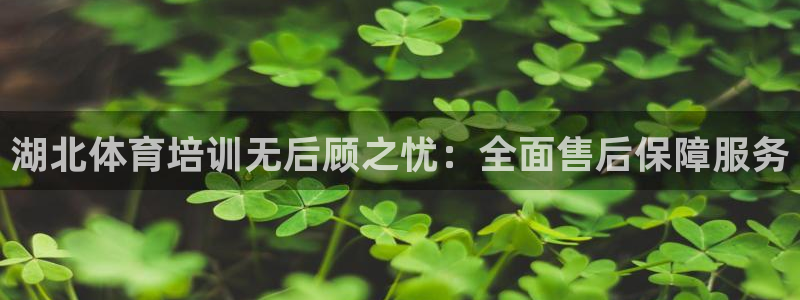 富联娱乐老板：湖北体育培训无后顾之忧：全面售后保障服