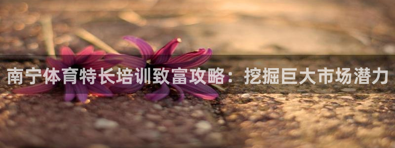 富联官网登录：南宁体育特长培训致富攻略：挖掘巨大市场