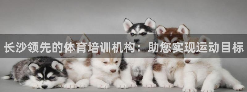 富联娱乐测速app：长沙领先的体育培训机构：助您实现
