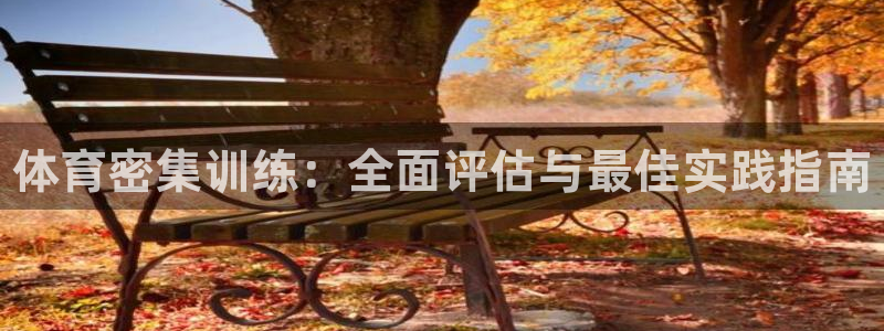 富联官方网站入口查询电话：体育密集训练：全面评估与最