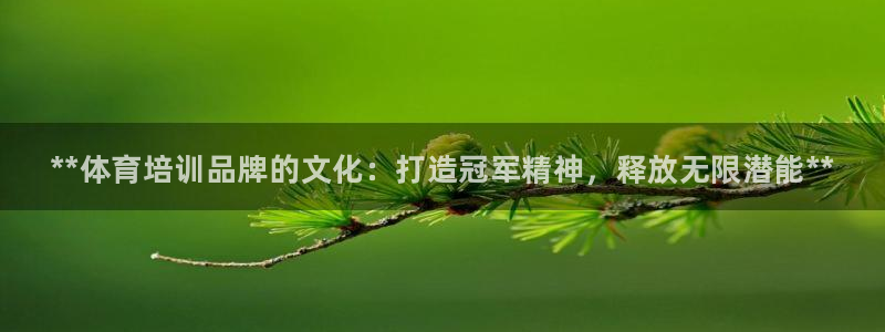 富联股份股票：**体育培训品牌的文化：打造冠军精神，释放无限