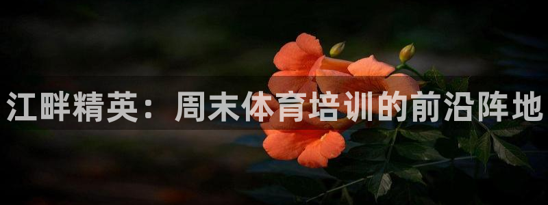 富联科技上市了吗知乎：江畔精英：周末体育培训的前沿阵地