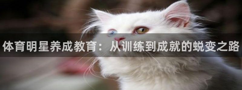 富联平台赢钱不给退怎么办呀：体育明星养成教育：从训练到成就的