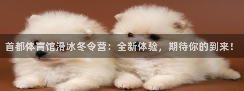 富联平台非7O777：首都体育馆滑冰冬令营：全新体验，期待你