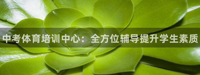 富联一区属于哪个街道：中考体育培训中心：全方位辅导提