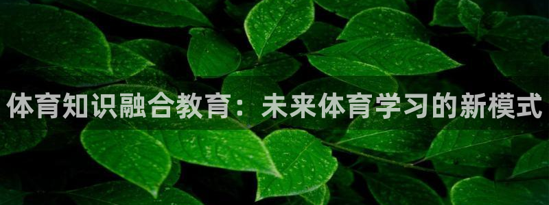 富联官网注册不了账号怎么回事：体育知识融合教育：未来体育学习