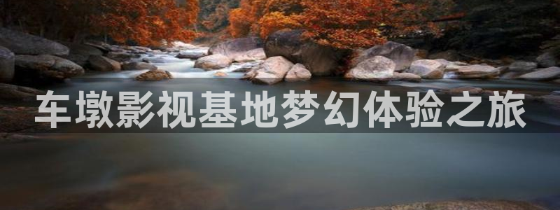 四房播播在线电影