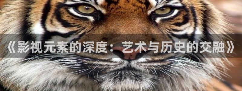播播影院丝袜视频