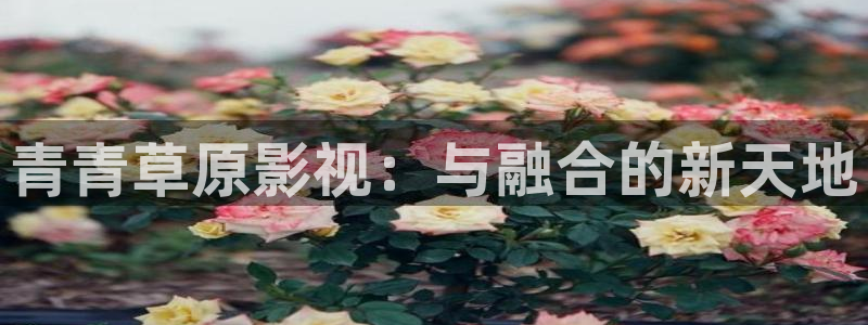 播播电影性播